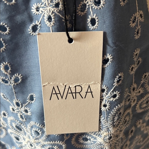 Avara Women's Brenda Embroidered Shorts - Light Blue - Picture 2 of 7